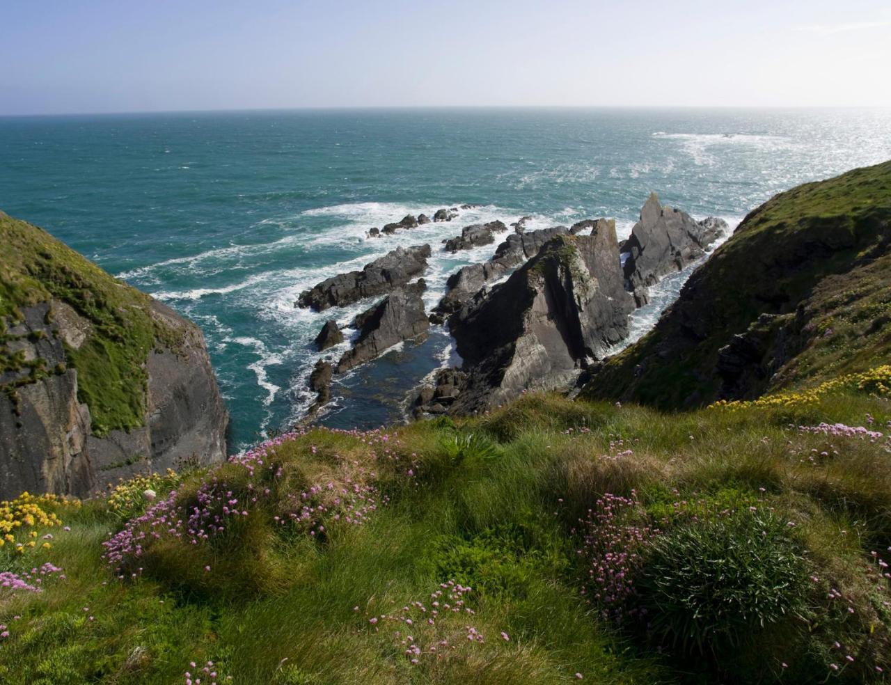 Galley Head Lightkeeper'S Houses Donoure Exteriér fotografie